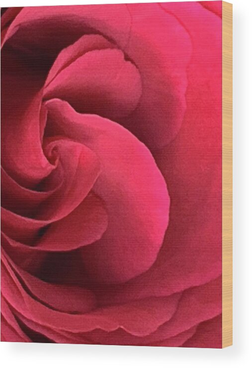 Rose Wood Print featuring the photograph As Love Waves In... by Tiesa Wesen