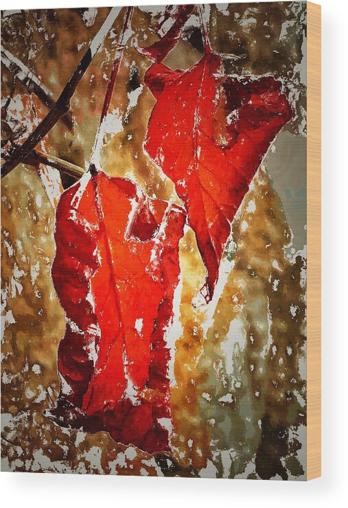 Autumn Wood Print featuring the photograph Autumn Friends by Mark Egerton