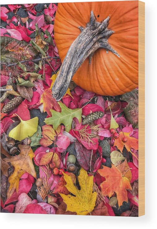 Pumpkin Wood Print featuring the photograph Autumn Harvest by Jill Love