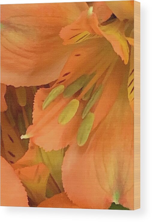 Flower Wood Print featuring the photograph Autumnal Alstroemeria by Tiesa Wesen