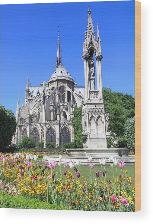 Clear Sky Wood Print featuring the photograph Backside Of The Notre Dame With Flowers by Romeo Reidl