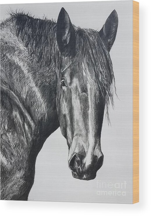 Horse Wood Print featuring the drawing Big Boy by Kathy Laughlin