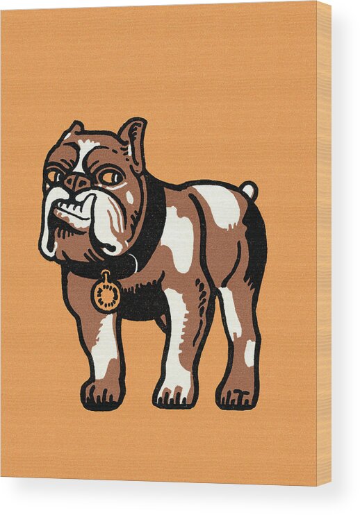 Animal Wood Print featuring the drawing Bulldog by CSA Images