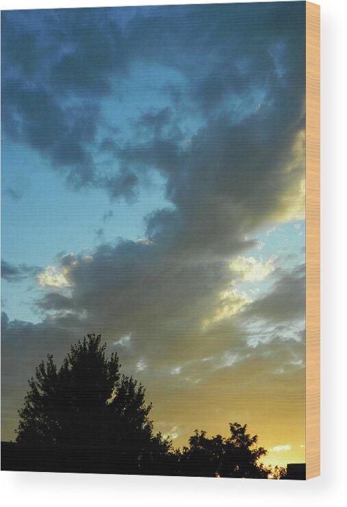 Cloudy Summer Skies Wood Print featuring the photograph Cloudy Summer Skies 1 by Cyryn Fyrcyd