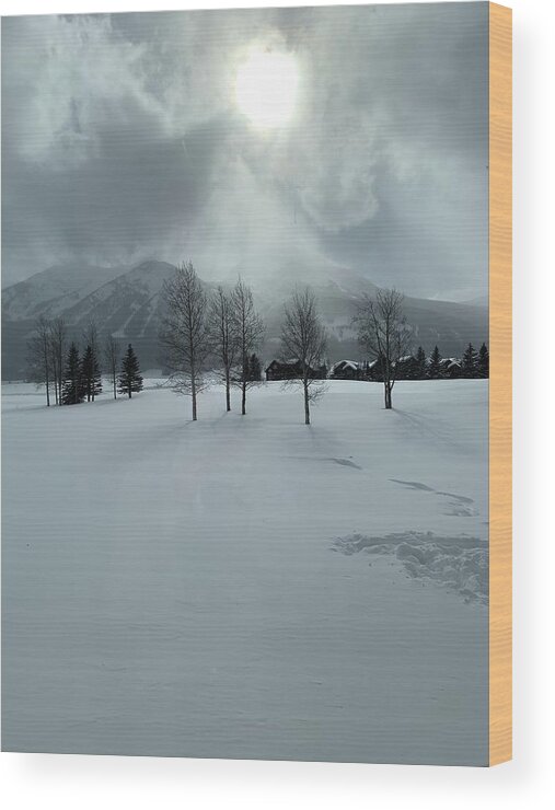 Landscape Wood Print featuring the photograph Colorado snow day by Colette Lee