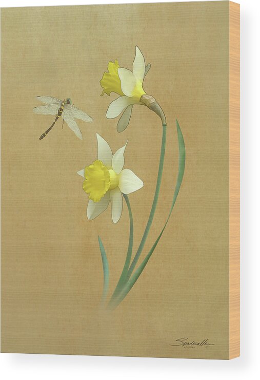 Flowers Wood Print featuring the digital art Daffodils and Dragonfly by M Spadecaller
