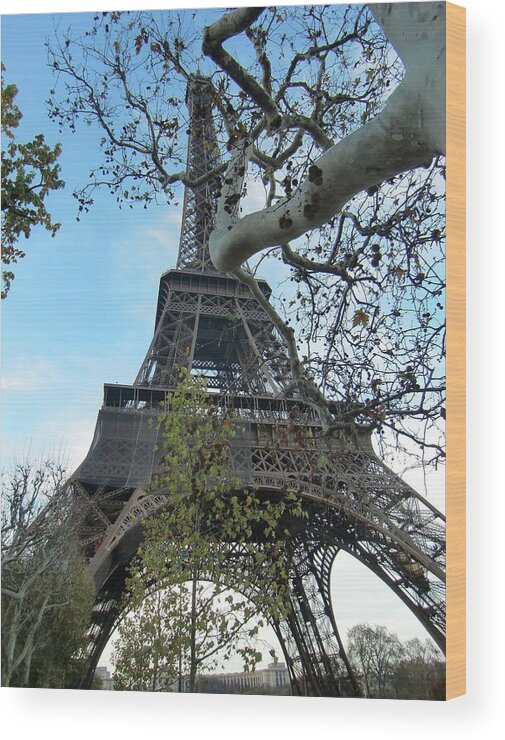 Eiffel Tower Wood Print featuring the photograph Eiffel tower by Martin Smith