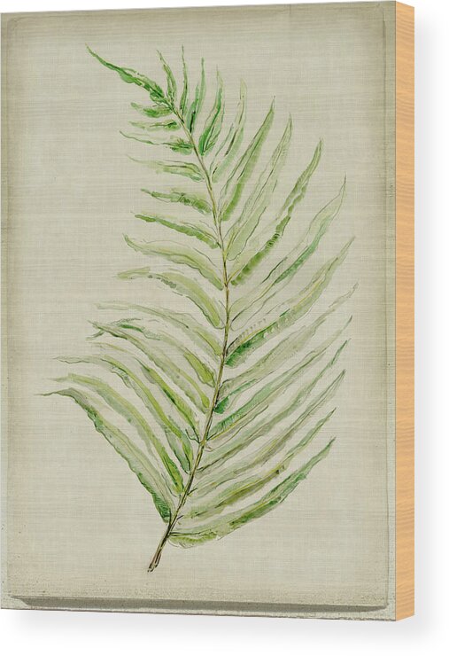 Fern 1 Wood Print featuring the mixed media Fern 1 by Symposium Design