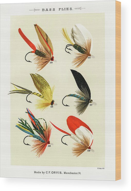 Fly Fishing Lures 23 Wood Print by David Letts - Fine Art America