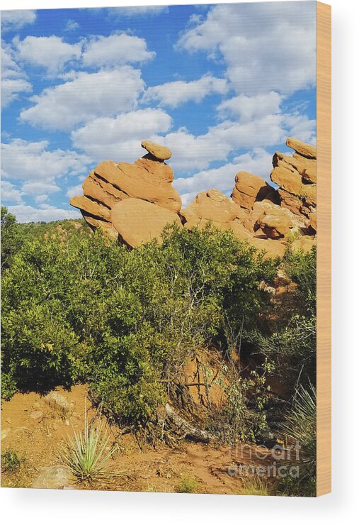 Garden Of The Gods Wood Print featuring the photograph Garden of the Gods View by Elizabeth M