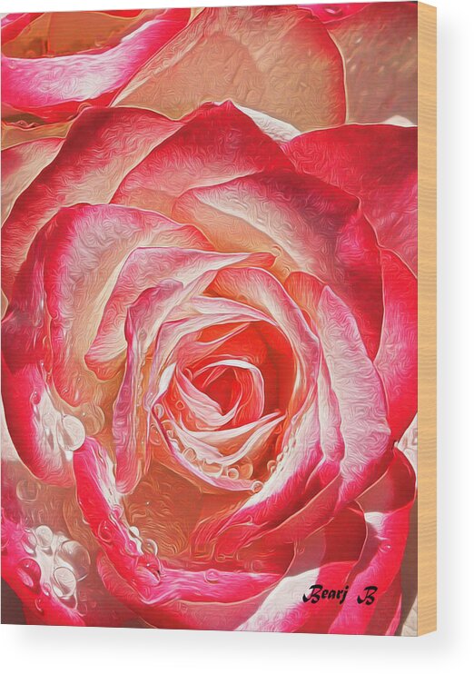 Roses Wood Print featuring the photograph Gemini - Tea Rose by Bearj B Photo Art