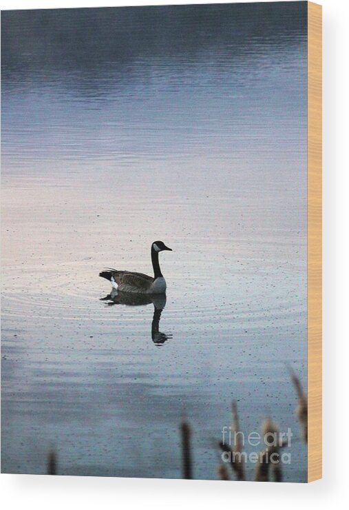 Goose Wood Print featuring the photograph Goose In A Oregon Pond 188 by Mrsroadrunner Photography