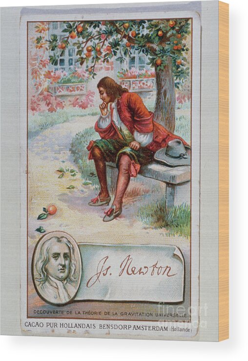Newton Wood Print featuring the photograph Isaac Newton by J-l Charmet/science Photo Library