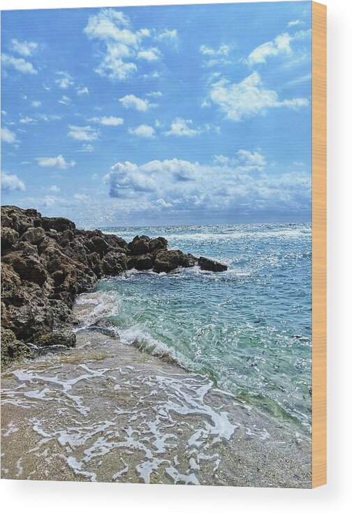 Beach Wood Print featuring the photograph Just Beachy by Portia Olaughlin