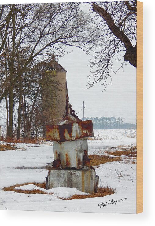 Winter Wood Print featuring the photograph Nearly Gone by Wild Thing