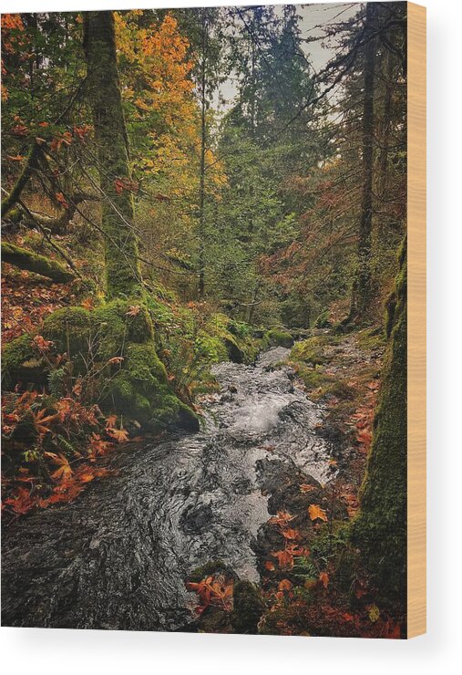 Autumn Wood Print featuring the photograph Orcas Island Stream by Jerry Abbott