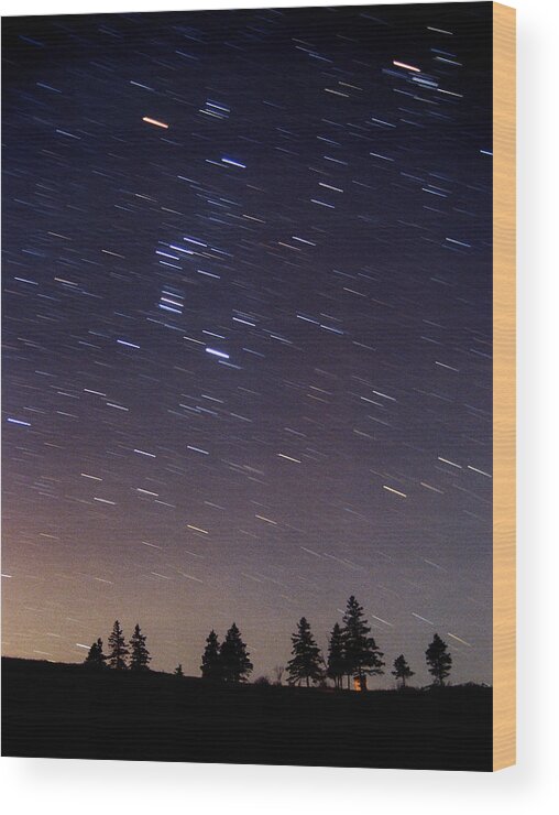 Constellation Wood Print featuring the photograph Orion On The Hill by Shaunl