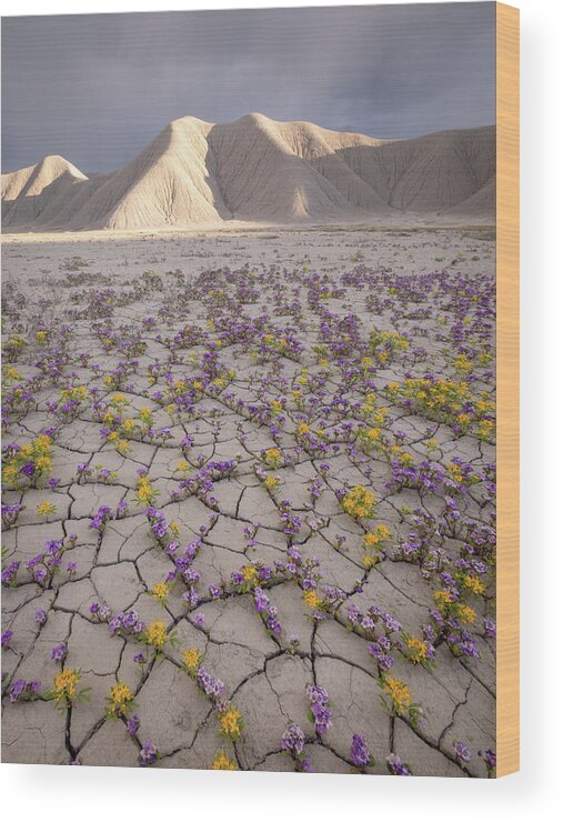 Utah Wood Print featuring the photograph Parched Earth by Emily Dickey