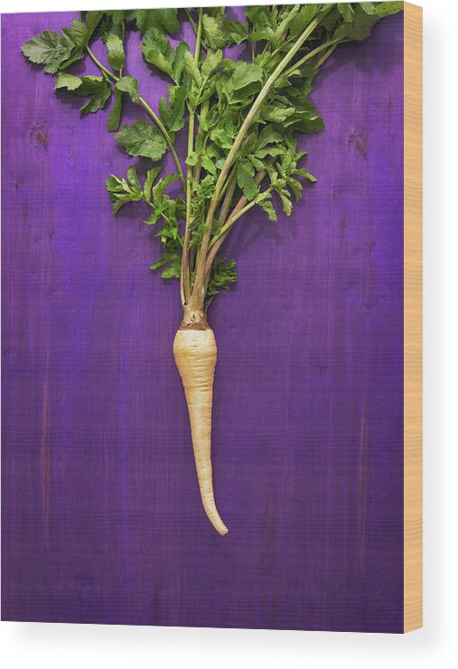 Purple Background Wood Print featuring the photograph Parsnip Root Vegetable by James Worrell