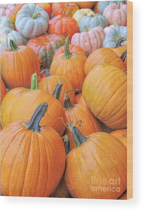 Pumpkins Wood Print featuring the photograph Pumpkin Variety by Janice Drew