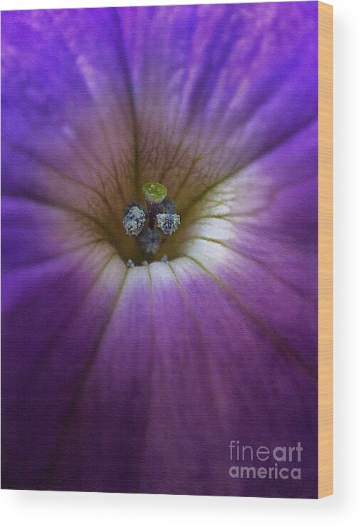 Macro Wood Print featuring the photograph Purple Sea by Diana Rajala