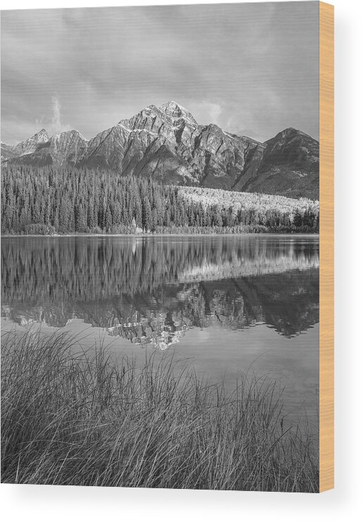 Disk1215 Wood Print featuring the photograph Pyramid Mt From Cottonwood Slough by Tim Fitzharris