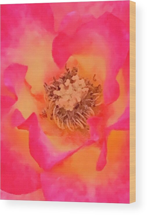 Rose Wood Print featuring the photograph Rainbow Sherbet by Tiesa Wesen