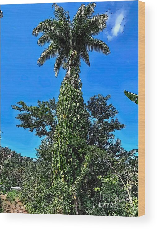 Royal Palm Wood Print featuring the digital art Royal Palm Tree by Laura Forde