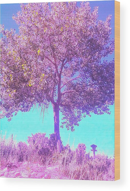 Tree Wood Print featuring the photograph Santa Fe Tree 5 by Marty Klar