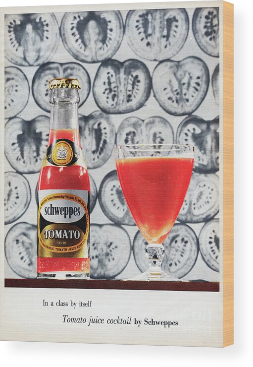 1950-1959 Wood Print featuring the photograph Schweppes Tomato Juice by Picture Post