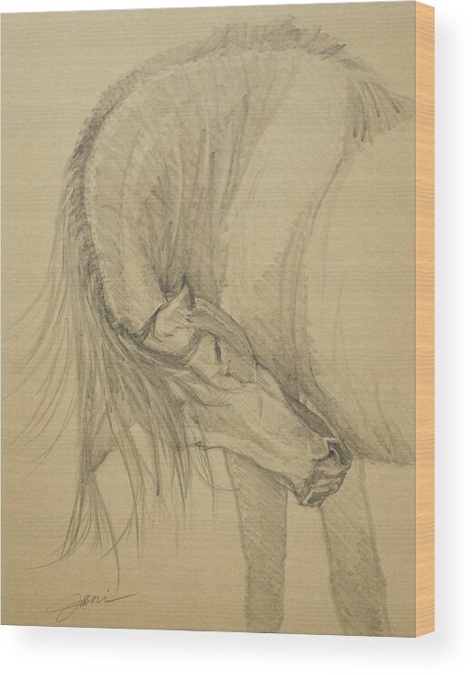 Horse Wood Print featuring the drawing Scratching An Itch 2 by Jani Freimann