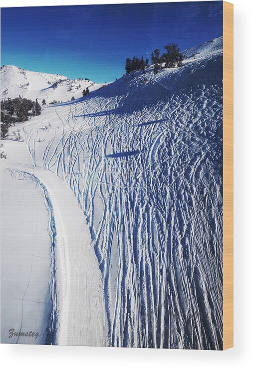 Ski Wood Print featuring the photograph Ski Slope by David Zumsteg