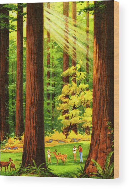Animal Wood Print featuring the drawing Sun Shining Through the Forest by CSA Images