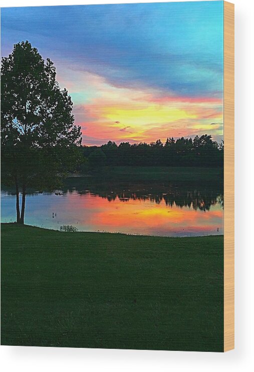 Colorful Sunset Wood Print featuring the photograph Sunset by Colette Lee