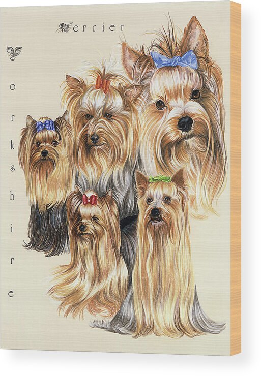 Yorkshire Terrier Dog Wood Print featuring the painting Terrier by Barbara Keith