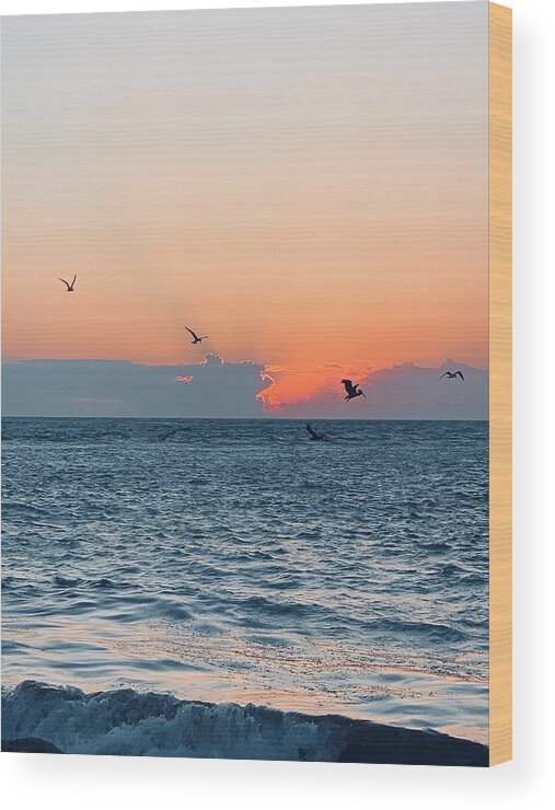 Birds Wood Print featuring the photograph Captiva Island The Sunset Seabird Feast 1 by Shelly Tschupp