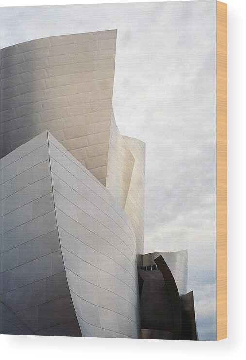 Disney Wood Print featuring the photograph The Walt Disney Concert Hall by Cora Wandel
