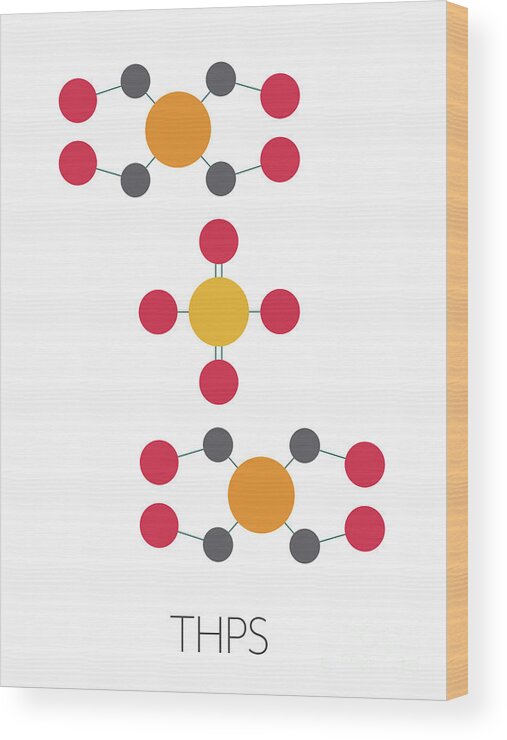 Tetrakis Wood Print featuring the photograph Thps Biocide Molecule by Molekuul/science Photo Library