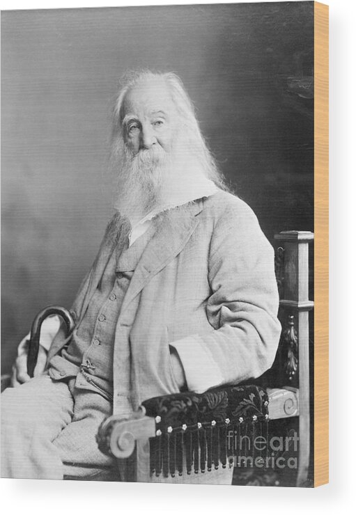 People Wood Print featuring the photograph Walt Whitman Seated White Beard Photo by Bettmann