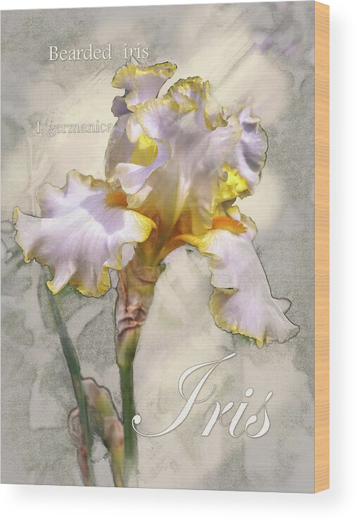 Spring Wood Print featuring the digital art White and Yellow Iris Graphic by Mark Mille