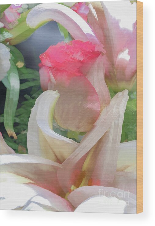 Abstract Wood Print featuring the photograph White rose in pastel by Phillip Rubino