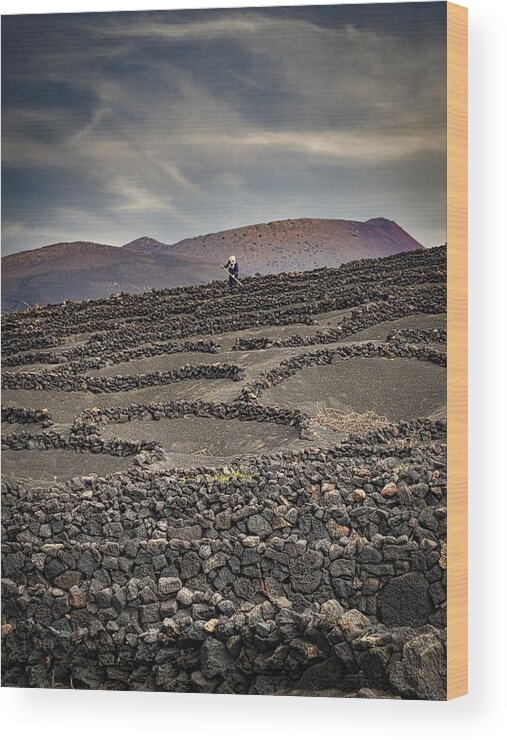Lanzarote Wood Print featuring the photograph Working On The Rocks by Andreas Bauer
