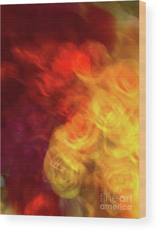 Abstract Wood Print featuring the photograph Yellow and orange rose abstract by Phillip Rubino