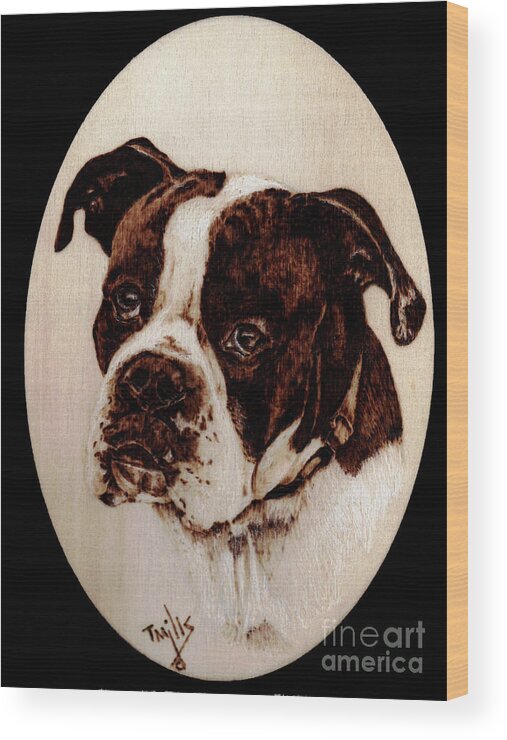 Dog Wood Print featuring the pyrography Boxer Dog #1 by Terri Mills