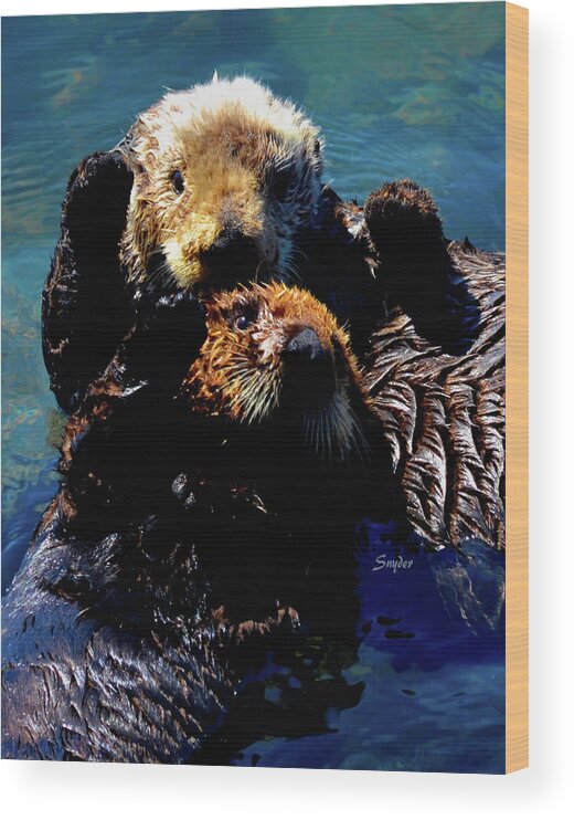 Otter Wood Print featuring the photograph High Five Sea Otter Morro Bay California 2 #2 by Barbara Snyder