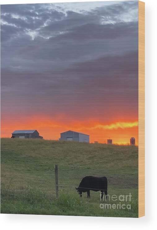 Cow Wood Print featuring the photograph My Birthday Sunrise #1 by Melissa Mim Rieman