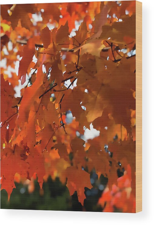  Wood Print featuring the digital art Orange Foliage #1 by Cindy Greenstein