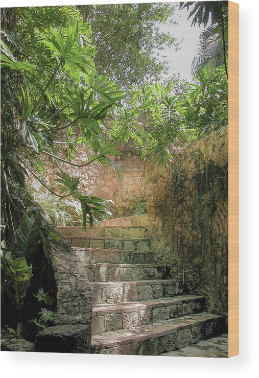 Chichen Itza Wood Print featuring the photograph Steps near cenote - Chichen Itza by Frank Mari