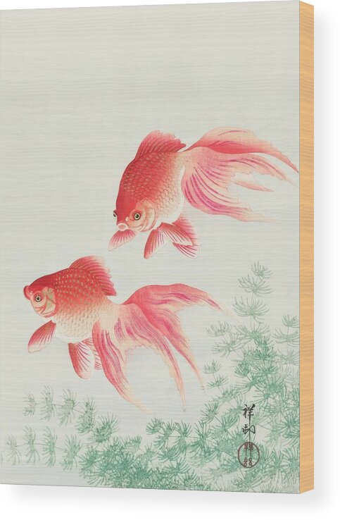 Fish Wood Print featuring the painting Two veil goldfish #2 by Ohara Koson