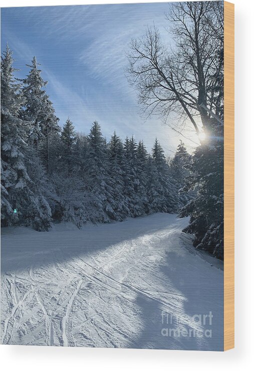  Wood Print featuring the photograph Winter Wonderland by Annamaria Frost